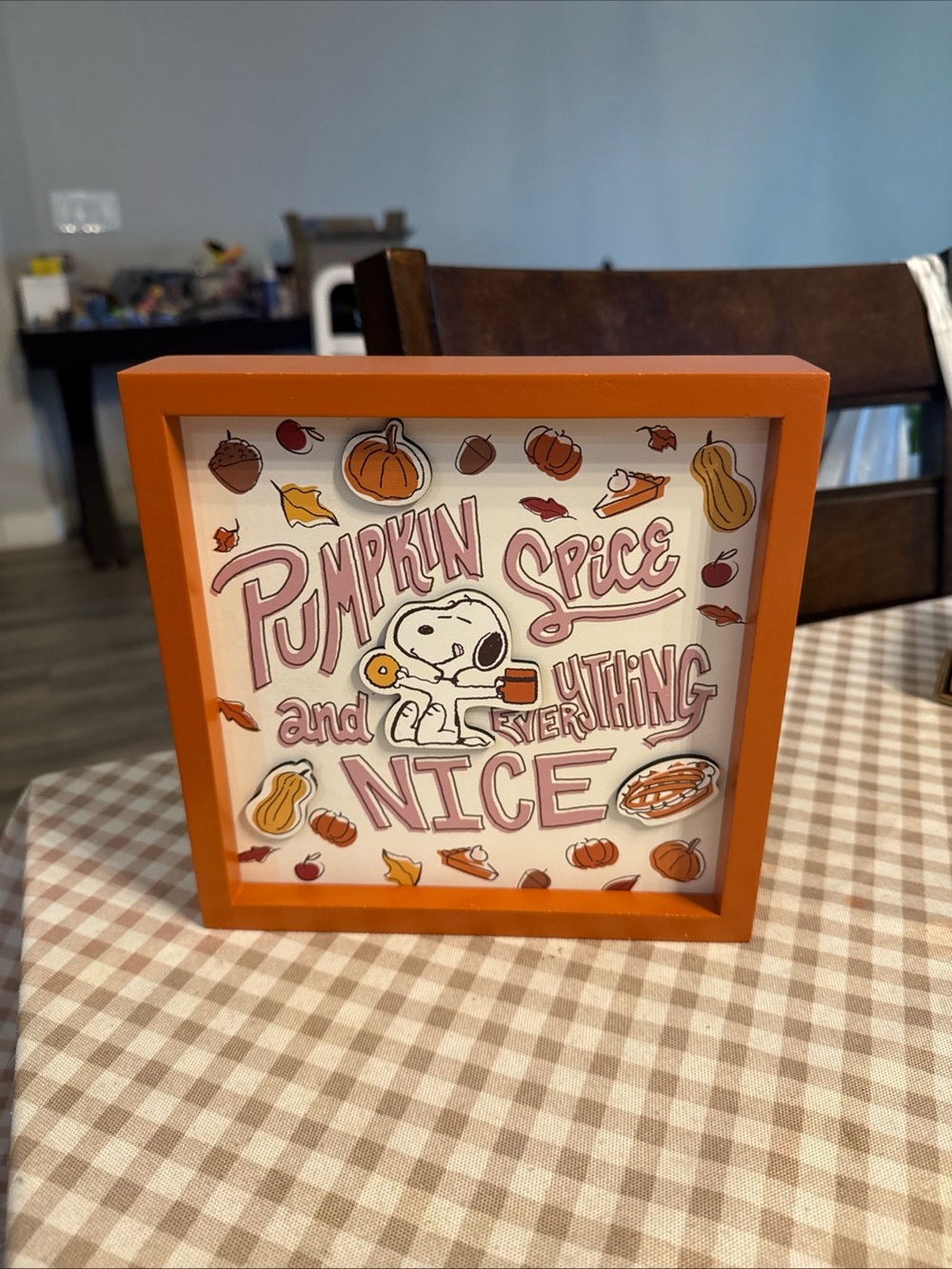 Peanuts Orange Framed Decorative Shadow Box